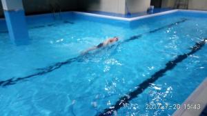 2016年武漢健身會所項目 健身房泳池